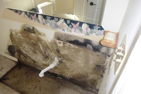Bathroom Vanity Water Damage Remediation Replacement