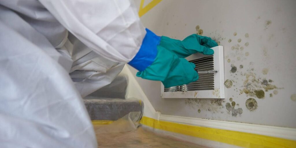 mold removal