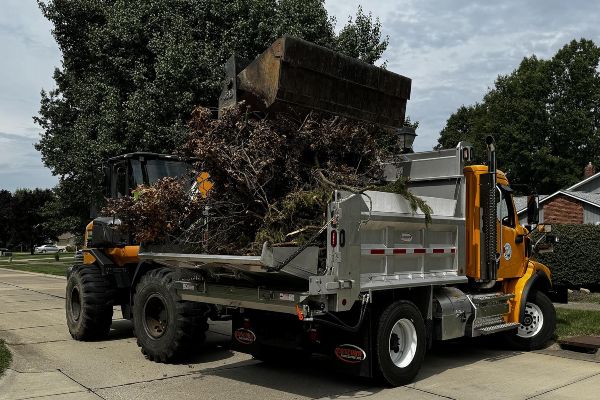 storm damage cleanup