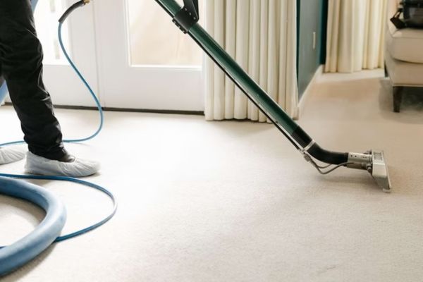carpet cleaning services